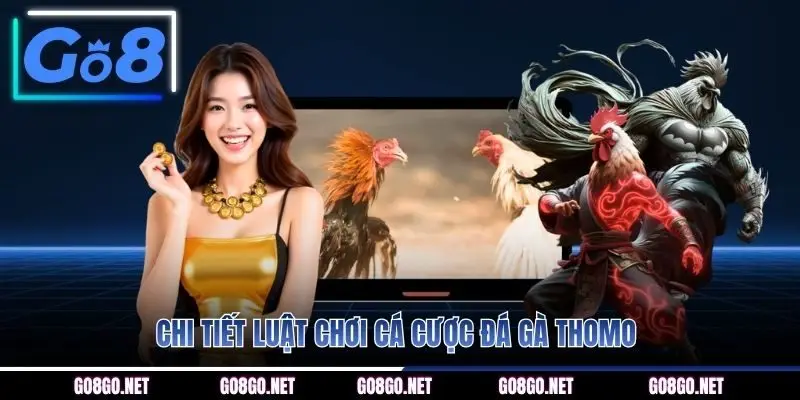 Chi tiết luật chơi cá cược đá gà Thomo